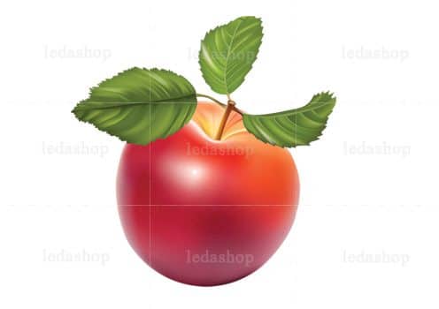 وکتور سیب قرمز عید نوروز لایه باز
