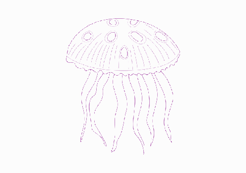 وکتور عروس دریایی لایه باز
