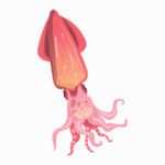 وکتور ماهی مرکب لایه باز