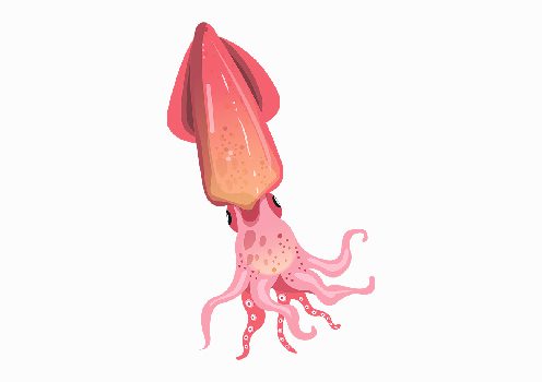 وکتور ماهی مرکب لایه باز