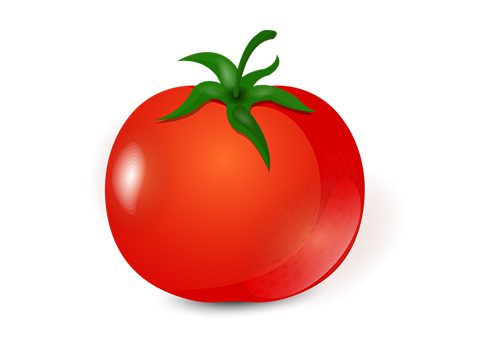 وکتور گوجه فرنگی لایه باز